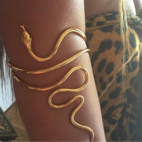 Meet your Posher, Chessie - Picture 7 of 8